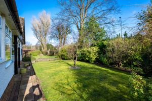 Photo 16- click for photo gallery